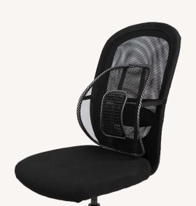 Swedish Posture back rest support
