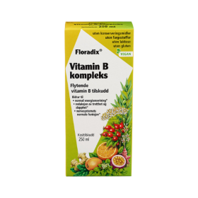 Floradix Vitamin B kompleks